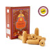 Sreevani Back Flow cones Cinnamon Кориця Sreevani Back Flow cones Cinnamon Кориця