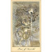 Таро Призраков и Духов  Ghosts and Spirits Tarot