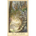 Таро Призраков и Духов  Ghosts and Spirits Tarot