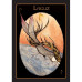Рунічний Оракул – Rune Oracle. AGM Urania