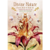 Карти Оракул Божественна Природа – Divine Nature Oracle Deck. U.S. Games Systems Карти Оракул Божественна Природа – Divine Nature Oracle Deck. U.S. Games Systems