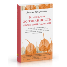 Больше, чем осознанность простыми словами Простой и понятный путеводитель по джханам, или глубоким медитативным состояниям Бханте Хенепо