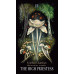 Таро Грибов: Північна Магія - Midnight Magic: A Tarot Deck of Mushrooms. Adams Media