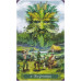 Таро Зеленої Відьми | The Green Witch Tarot, Ann Moura. Llewellyn