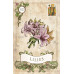 Карты Оракул Старый Стиль Ленорман - Old Style Lenormand