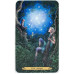 Таро Зачарованного Леса – Forest of Enchantment Tarot