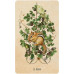 Unlocking The Secret Garden Oracle Cards - Оракул 