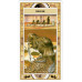 Сакральный оракул Американских индейцев  Native American Spirituality Oracle Cards