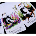 Карти Таро Шлях Панди (Way of the Panda Tarot)
