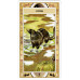 Сакральный оракул Американских индейцев  Native American Spirituality Oracle Cards