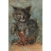 Hush Tarot  Таро Тиші