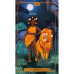 Таро Жінки Землі – Earth Woman Tarot. Lo Scarabeo